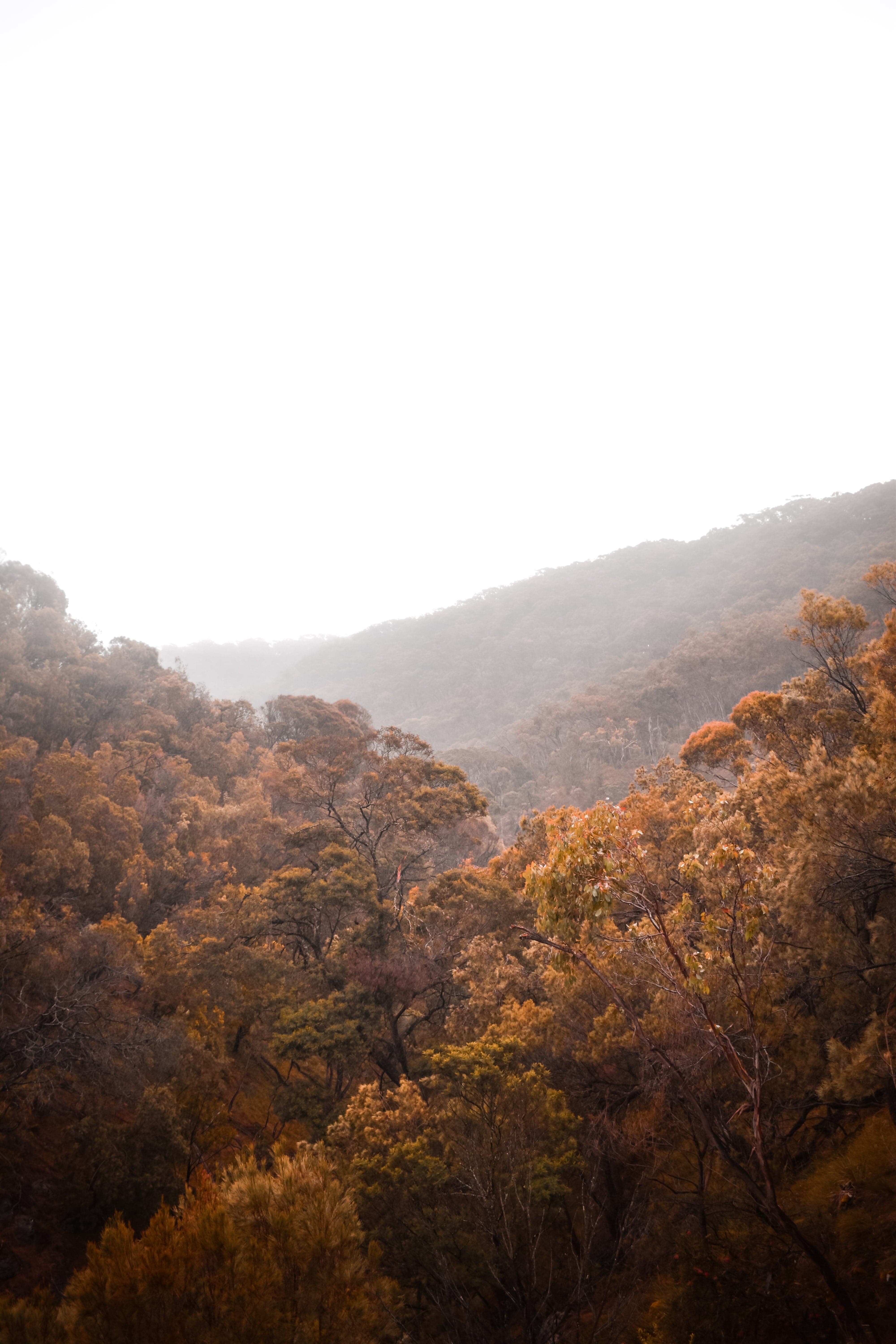Airbnb Management in Victoria, Australia - Red Hill